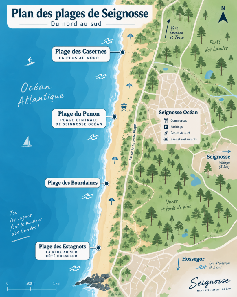 Plan des plages de Seignosse
